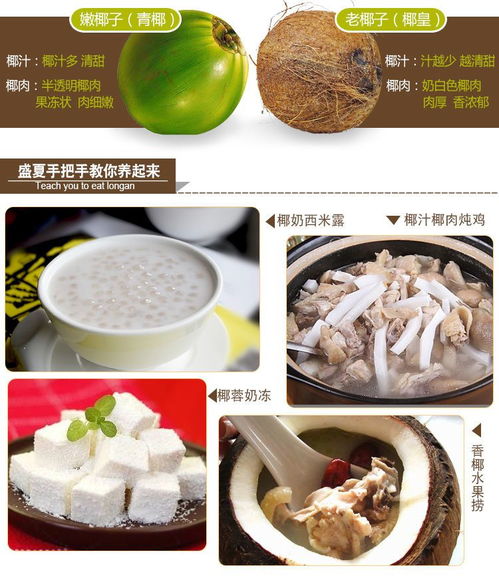 海南老椰子批發(fā) 品質(zhì)之選，新鮮直達(dá)